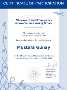 Microworld and biomimetic   